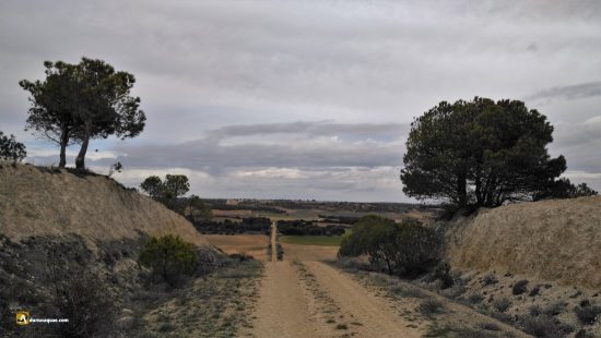 Campos ondulados por la comarca de Toro, en Zamora