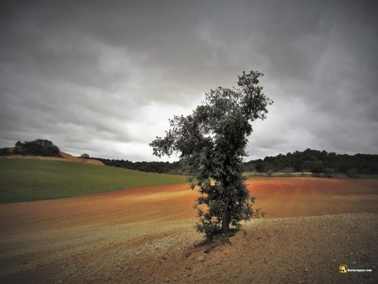 tierras rojas y onduladas comarca Toro