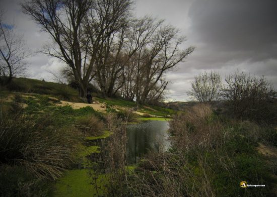 Fuente de la Paloma, comarca de Toro