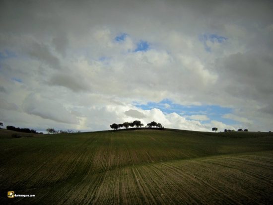 Campos de Toro, Zamora