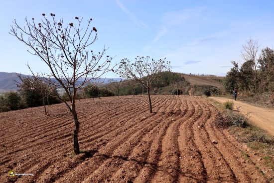 Caminando por Gimonde, Bragança, Portugal