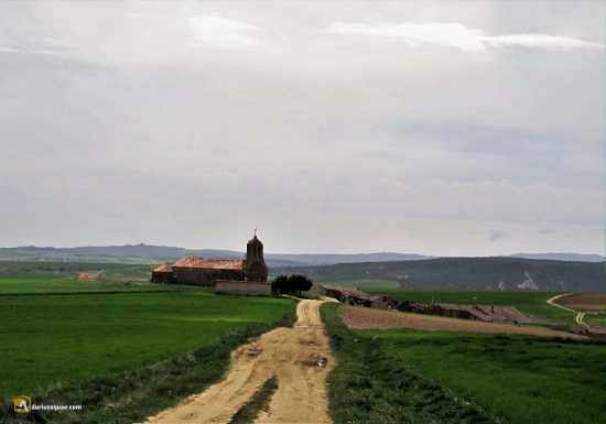 Brabos, en la raya de la Moraña y la Sierra de Ávila