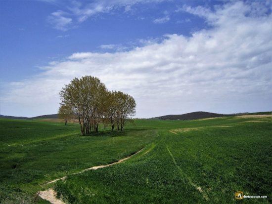 Entre la Moraña y la Sierra
