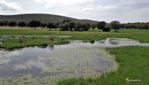 Laguna de San Martín. Nacimiento del Zapardiel