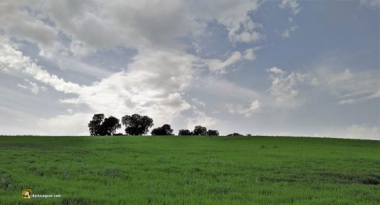 Entre la Moraña y la Sierra