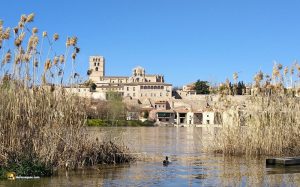 Vista de Zamora y el Duero
