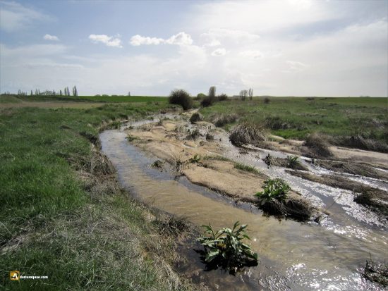 El Zapardiel que ha perdido valle y ribera
