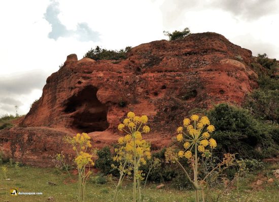 Areniscas rojas en Tiermes