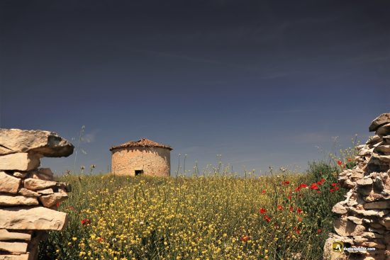 Fuentelcésped, Burgos, hacia Tiermes