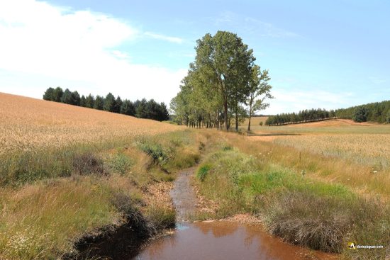 Comienzo del río La Cueza