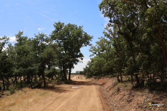 Un paseo por Renedo de Valderaduey