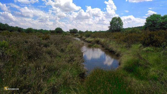 Valderaduey a su paso por Renedo