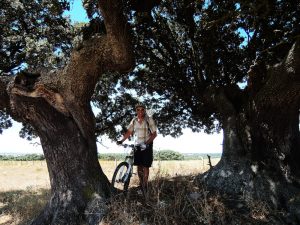Encinares y bicicleta
