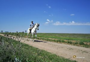 Paseo a caballo en San Román de Hornija