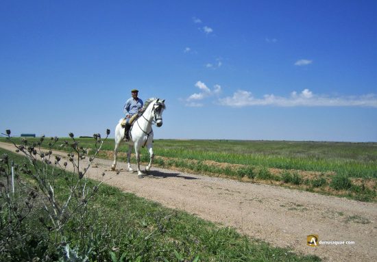Paseo a caballo en San Román de Hornija