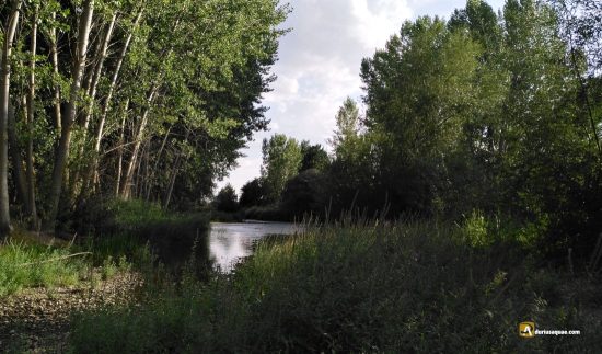 Carrión en Villamuriel de Cerrato