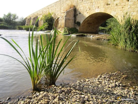 Puente sobre el carrión en Villamuriel de Cerrato