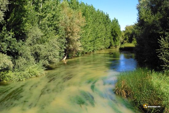 Río Cea, entre islas y cuérnagos en Fuentes de Ropel