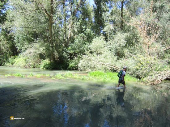 Caminando por el Esla