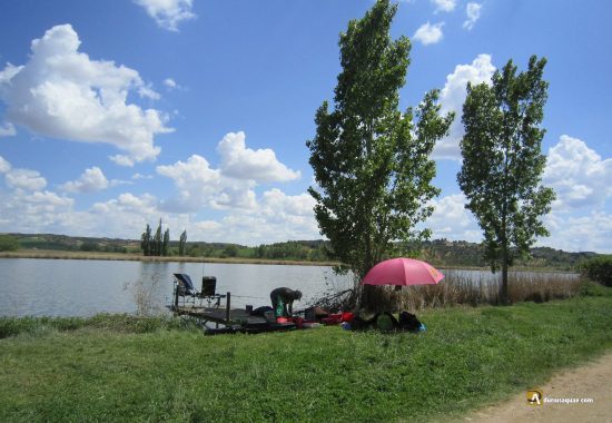 Riberas de Castronuño
