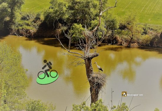 Portada entrada Torrecilla San Román