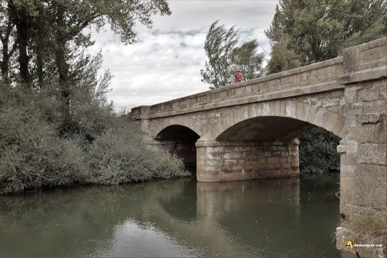 Pisuerga en Melgar de Fernamental