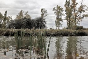 Osorno la Mayor y el Canal de Castilla