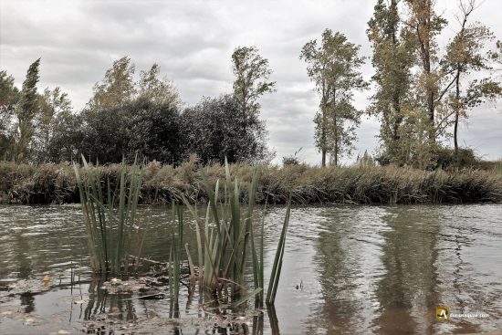 Osorno la Mayor y el Canal de Castilla