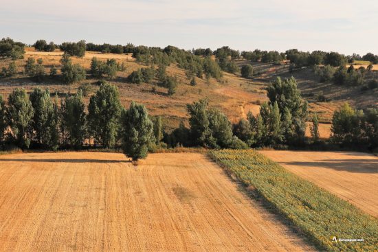 Desde las laderas de Ciella
