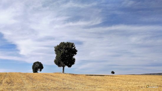 Páramos en Espinosa de Cervera