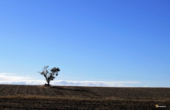 Páramos del Esgueva