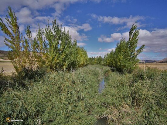 El Esgueva en Castrillo de don Juan