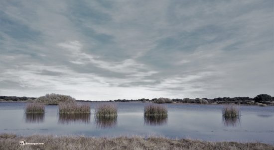 Laguna del Cristo, aldehuela de Yeltes