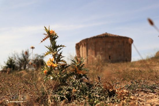 Santibañez de Esgueva. Ermita de San Salvador