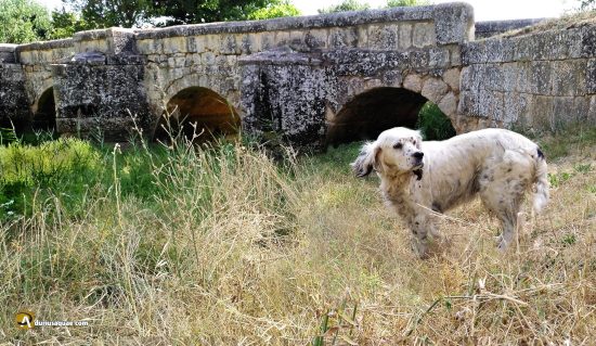 Puente de piedra en Pinilla Trasmonte