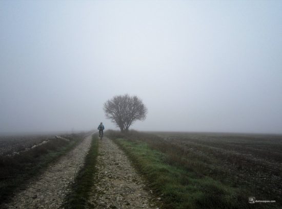 Campáspero en bicicleta