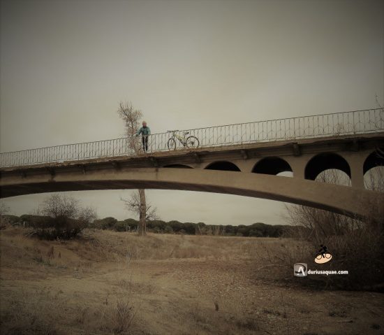 Carretera hacia Castronuño sobre el Trabancos