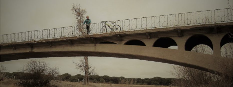 Carretera hacia Castronuño sobre el Trabancos