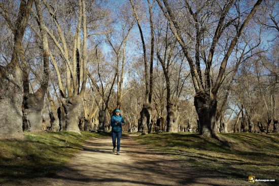 El Soto en la ribera del Adaja