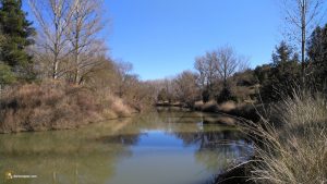 Duero de Berlanga de Duero