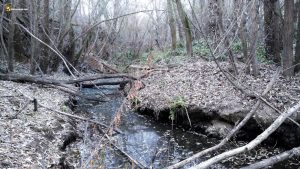 El Duero ayuda al Trabancos