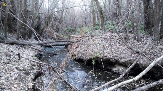 El Duero ayuda al Trabancos