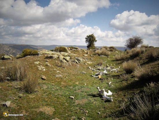 Muladar abandonado en Ávila junto al Valle de Ámblés