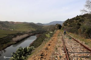 Ferrocarril abandonado junto al río Águeda