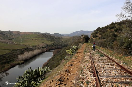 Ferrocarril abandonado junto al río Águeda