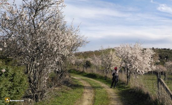 Ruta por la Fregeneda