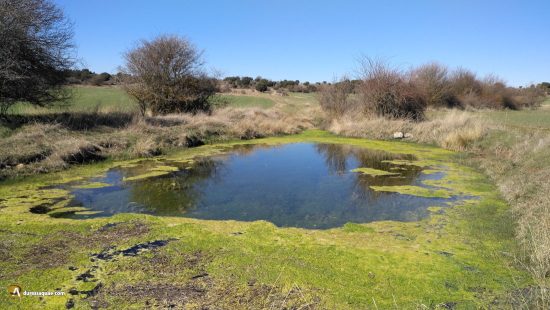 Charca junto al nacimiento de Bordecorex o Torete