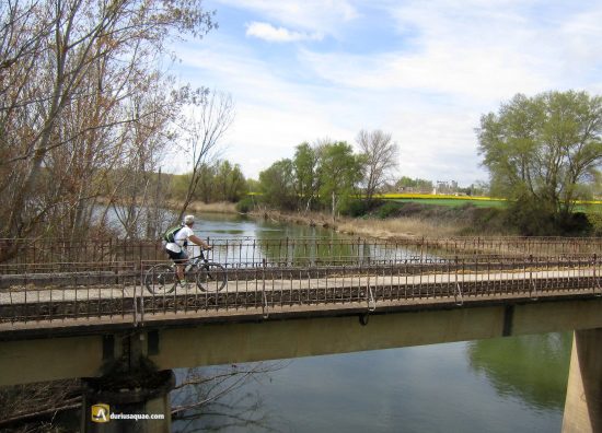 El río Pisuerga en Soto de Cerrato