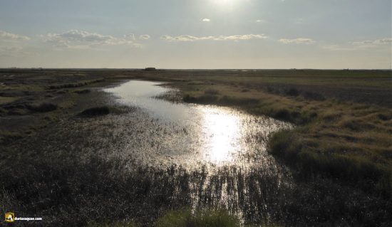 Laguna Grande de Villafáfila