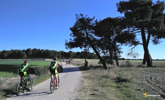 Los 100 de la Nava de la Asunción